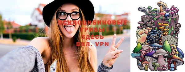 mdpv Баксан